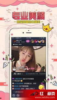 福利在线视频观看免费,免费观看，畅享视听盛宴