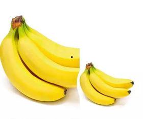 香蕉碰福利 在线播放,在线观看，畅享欢乐时光